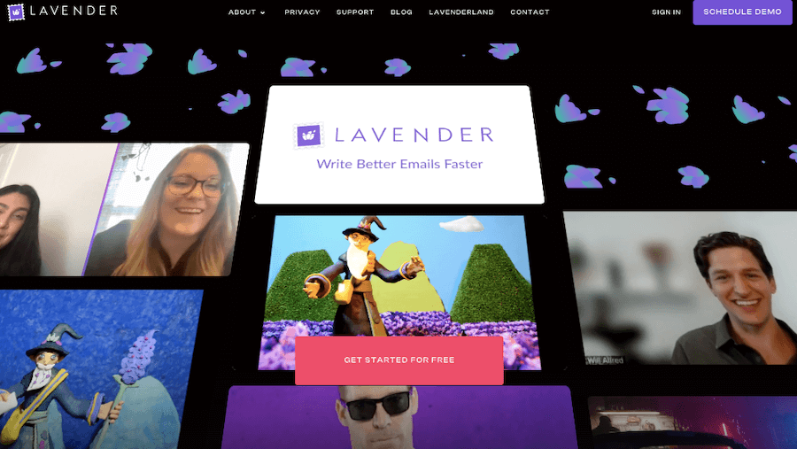 Lavender Lavender